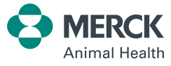 merck_ah_rgb_pos_tg.png logo